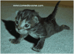 8708.gif