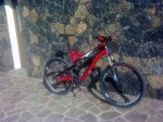 BICI.jpg