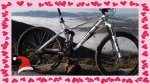 2011-12-18-008_2.jpg