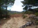 DSC08007.JPG