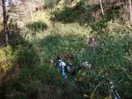 DSCF1132 - copia.JPG