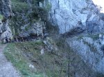 resized_DSC02049.jpg