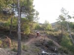 SDC12393.JPG