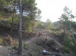 SDC12399.JPG