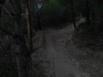 SDC12401.JPG