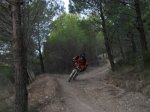 SDC12406.JPG