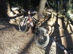 2011-12-28 12.10.56.jpg