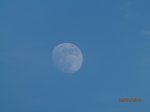luna 01.JPG