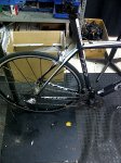giant (11).jpg