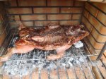 P1061194 (Copiar).JPG