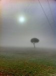 ImageUploadedByTapatalk1325919346.692804.jpg