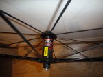 DSC02328.JPG