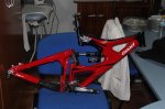 IMG_6436.jpg