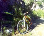 IMG181-picsay.jpg