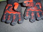 dsc00010py.jpg
