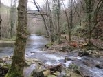 IMG_1261.JPG