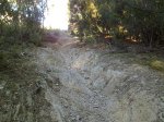 080120123919_1024x768.jpg
