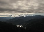IMG_2781.JPG