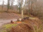 2012-01-08 10.46.04_1024x768.jpg