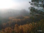 Foto0014.jpg