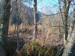 Foto0017.jpg