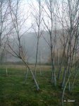 Foto0023.jpg