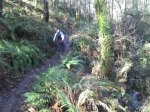 Trailera hacia as Pereiras.jpg