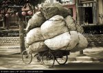 bicicleta-cargada-con-sacos-china_20110.jpg
