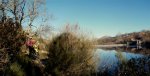 Panorama 2 (Medium).JPG