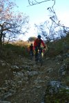 DSC07204.JPG