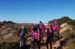 Fotos Ibex 2012 006 (Large).jpg