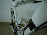DSC05624.JPG