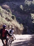 torrelagunesis2012060.jpg