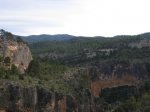 IMG_3520.JPG