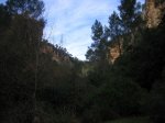 IMG_3521.JPG