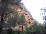 IMG_3523.JPG