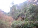 IMG_3525.JPG