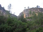 IMG_3527.JPG