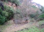 IMG_3528.JPG