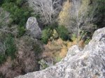 IMG_3578.JPG