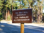 Foto4.JPG