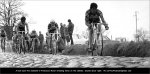 rbx-moser.jpg