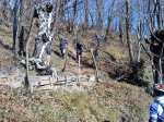 DSC05610.JPG