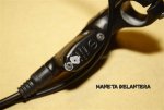 DELANTERA 2 (Custom).jpg