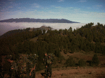 Imagen 055.gif