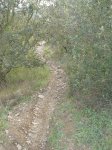 DSC00043(1).JPG
