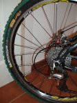 orbea3.JPG