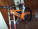 orange2.JPG