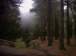 Imagen 008.gif