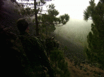 Imagen 025.gif